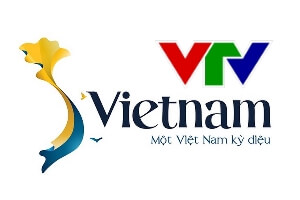 Chương trình S Việt Nam VTV