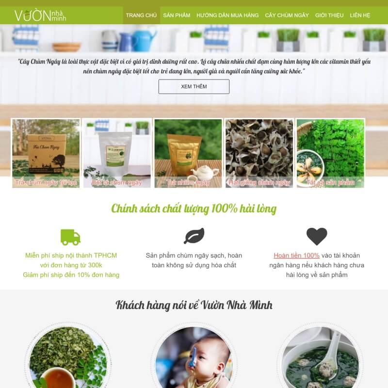 Trang trại chùm ngây Vườn Nhà Mình